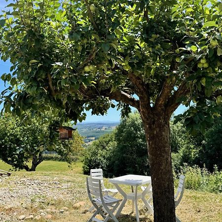 הוילה Chateauneuf-de-Galaure Gite Chez Polo מראה חיצוני תמונה