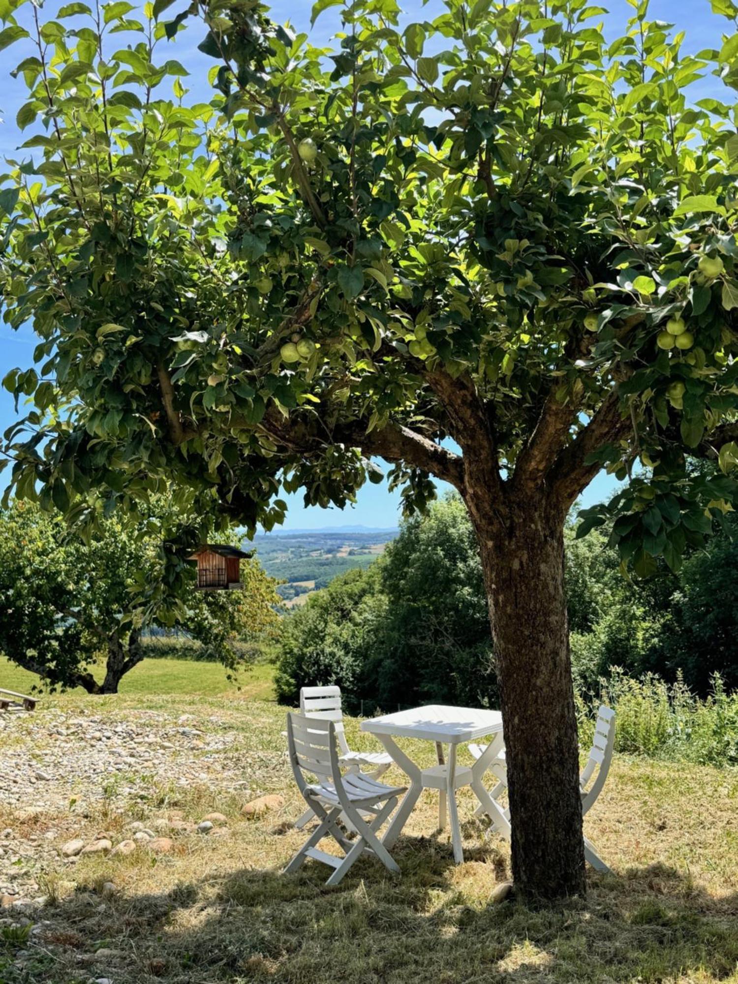 הוילה Chateauneuf-de-Galaure Gite Chez Polo מראה חיצוני תמונה